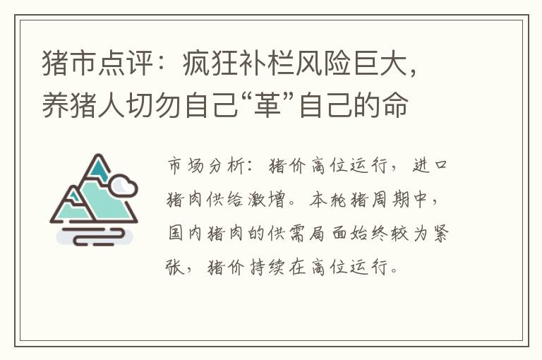 猪市点评：疯狂补栏风险巨大，养猪人切勿自己“革”自己的命