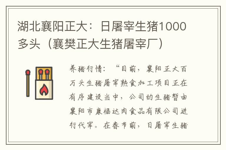 湖北襄阳正大：日屠宰生猪1000多头（襄樊正大生猪屠宰厂）