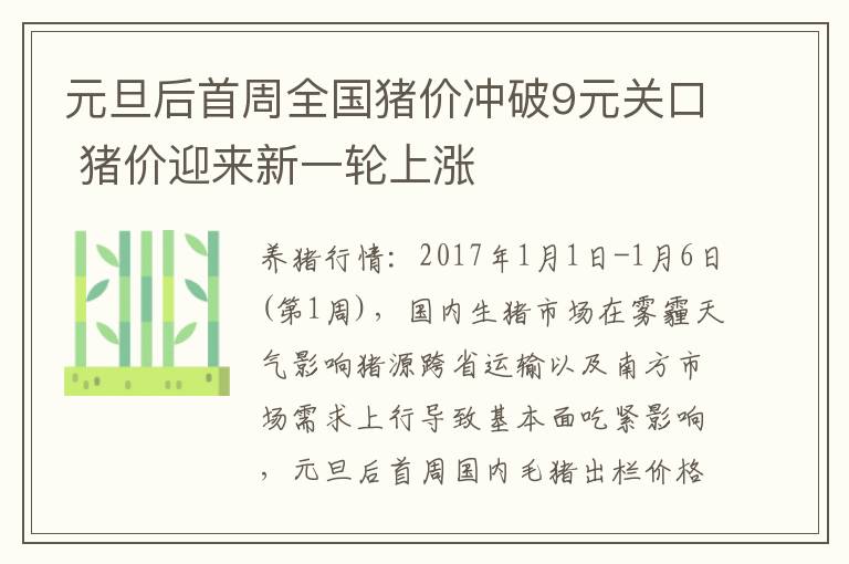 元旦后首周全国猪价冲破9元关口 猪价迎来新一轮上涨