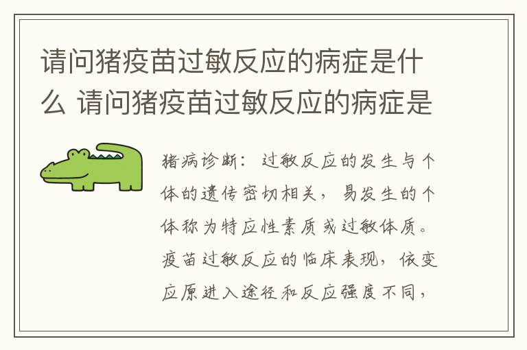 请问猪疫苗过敏反应的病症是什么 请问猪疫苗过敏反应的病症是什么样的