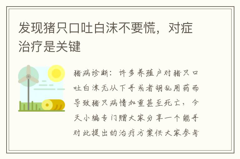 发现猪只口吐白沫不要慌，对症治疗是关键