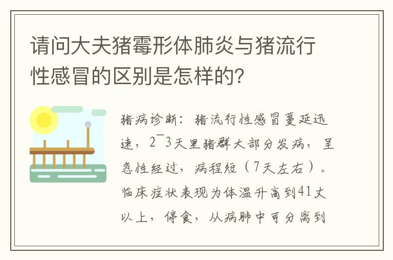 请问大夫猪霉形体肺炎与猪流行性感冒的区别是怎样的？