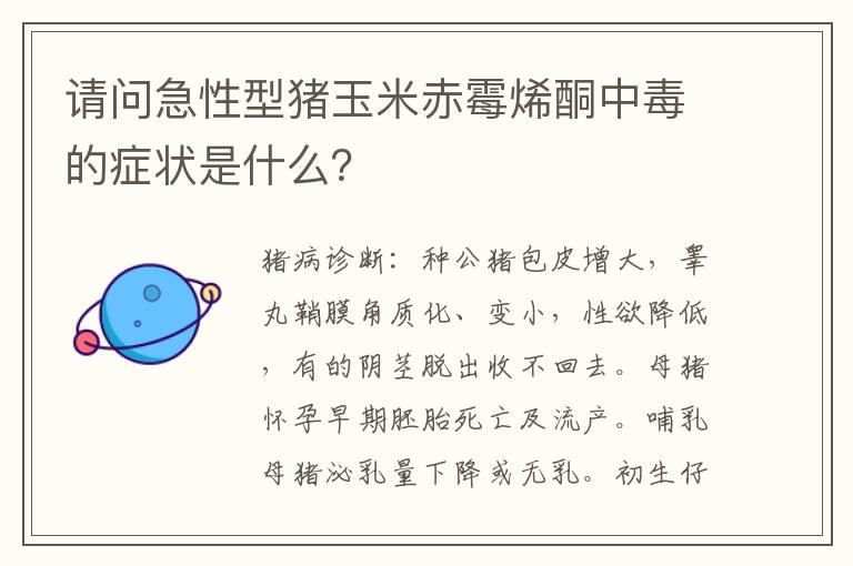 请问急性型猪玉米赤霉烯酮中毒的症状是什么？