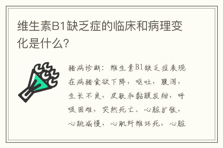 维生素B1缺乏症的临床和病理变化是什么？