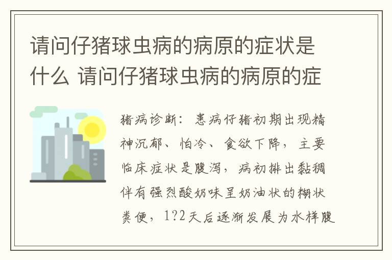 请问仔猪球虫病的病原的症状是什么 请问仔猪球虫病的病原的症状是什么呢