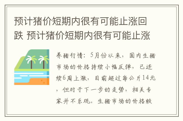 预计猪价短期内很有可能止涨回跌 预计猪价短期内很有可能止涨回跌的原因