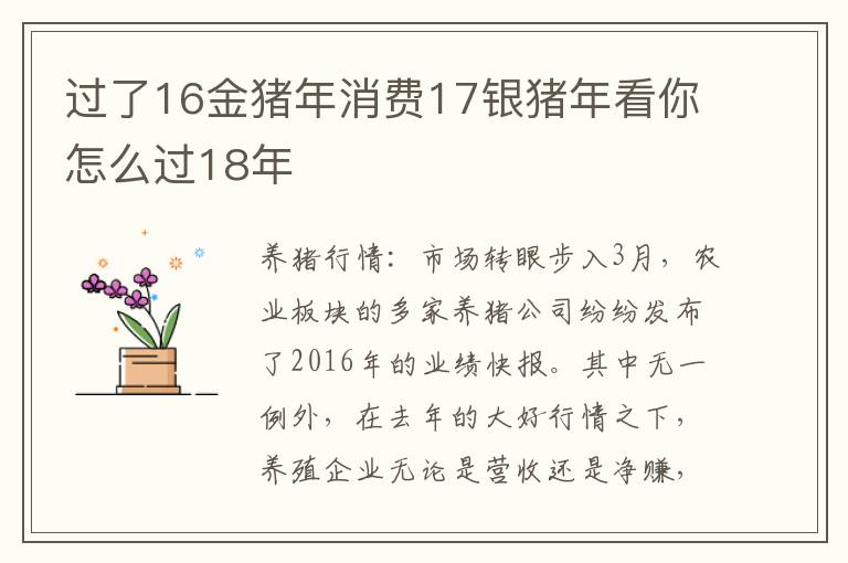 过了16金猪年消费17银猪年看你怎么过18年