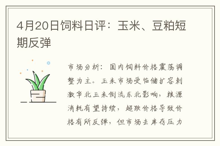 4月20日饲料日评：玉米、豆粕短期反弹