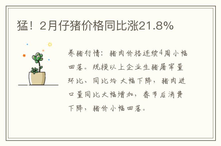 猛！2月仔猪价格同比涨21.8%