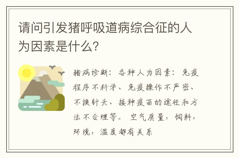 请问引发猪呼吸道病综合征的人为因素是什么？