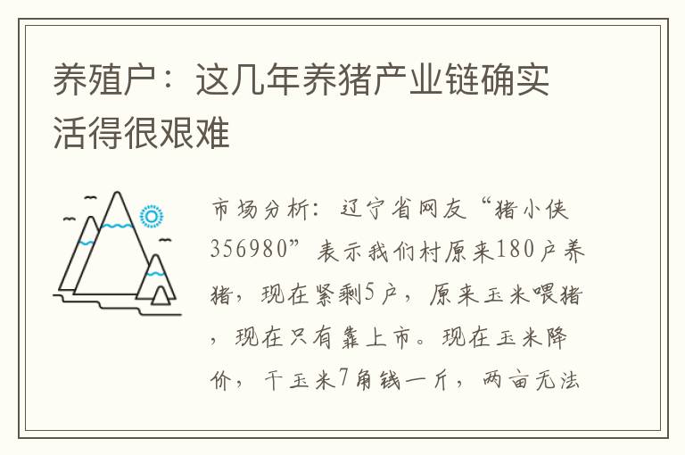 养殖户：这几年养猪产业链确实活得很艰难