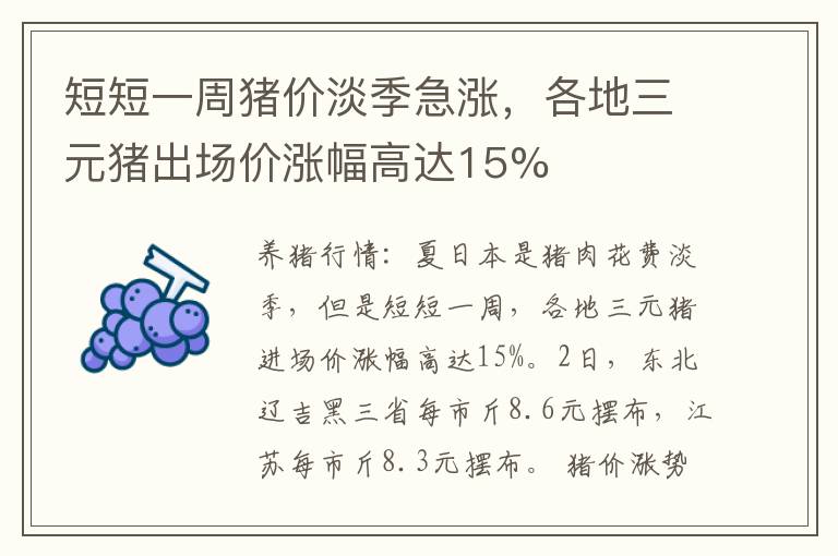 短短一周猪价淡季急涨，各地三元猪出场价涨幅高达15%