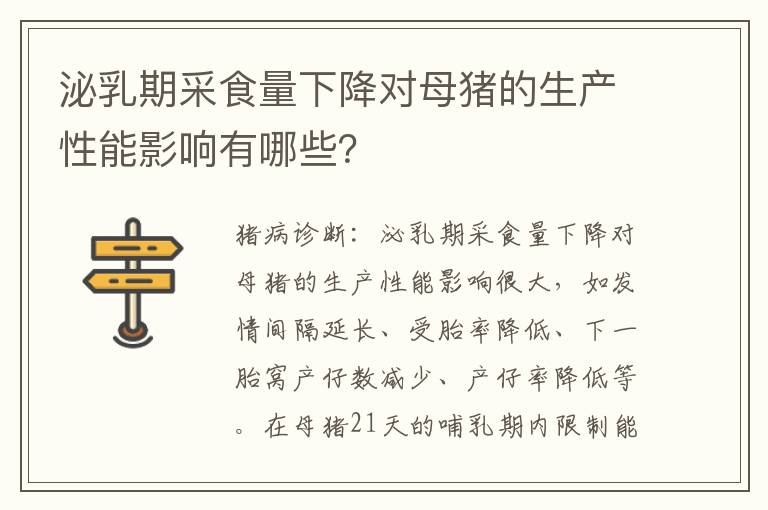 泌乳期采食量下降对母猪的生产性能影响有哪些？