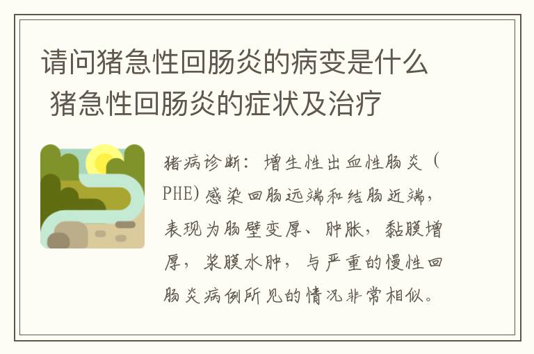 请问猪急性回肠炎的病变是什么 猪急性回肠炎的症状及治疗