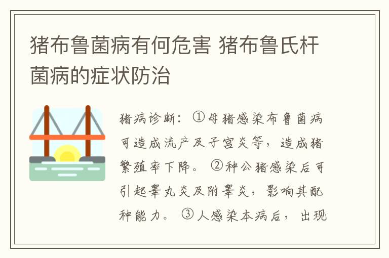 猪布鲁菌病有何危害 猪布鲁氏杆菌病的症状防治