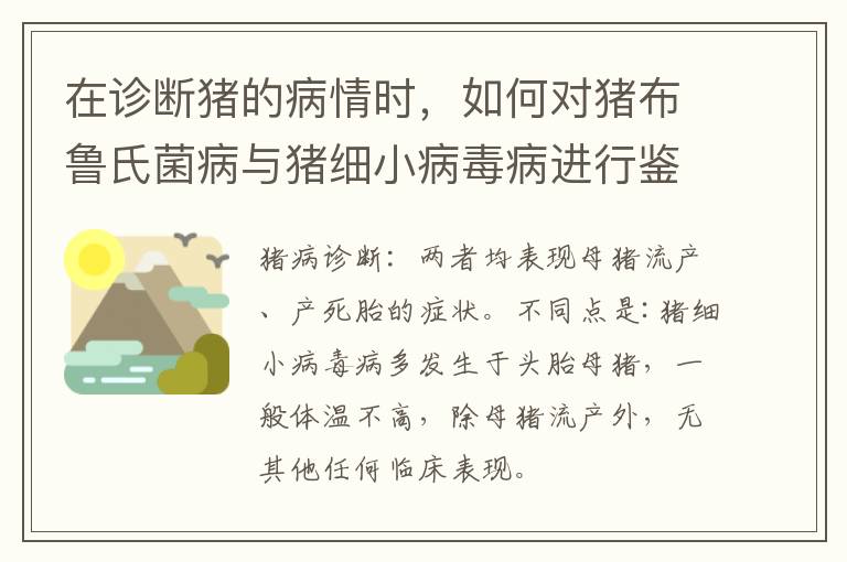 在诊断猪的病情时，如何对猪布鲁氏菌病与猪细小病毒病进行鉴别？