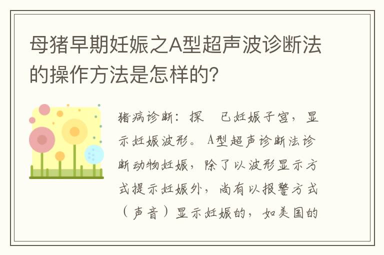 母猪早期妊娠之A型超声波诊断法的操作方法是怎样的？