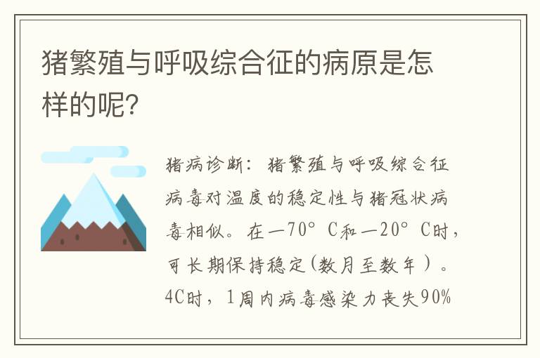 猪繁殖与呼吸综合征的病原是怎样的呢？