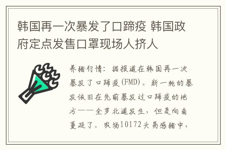 韩国再一次暴发了口蹄疫 韩国政府定点发售口罩现场人挤人