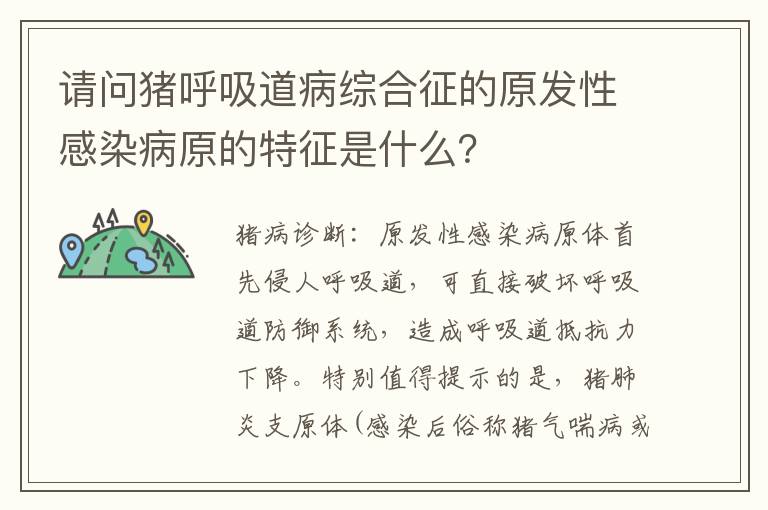 请问猪呼吸道病综合征的原发性感染病原的特征是什么？