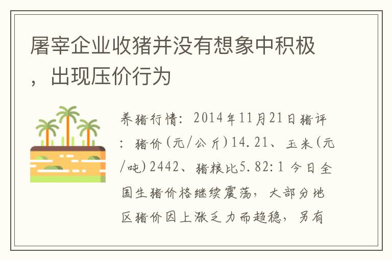 屠宰企业收猪并没有想象中积极，出现压价行为