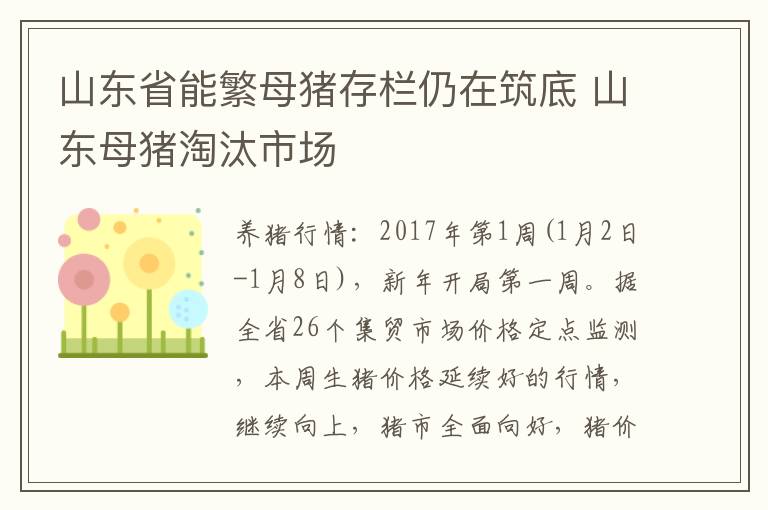 山东省能繁母猪存栏仍在筑底 山东母猪淘汰市场