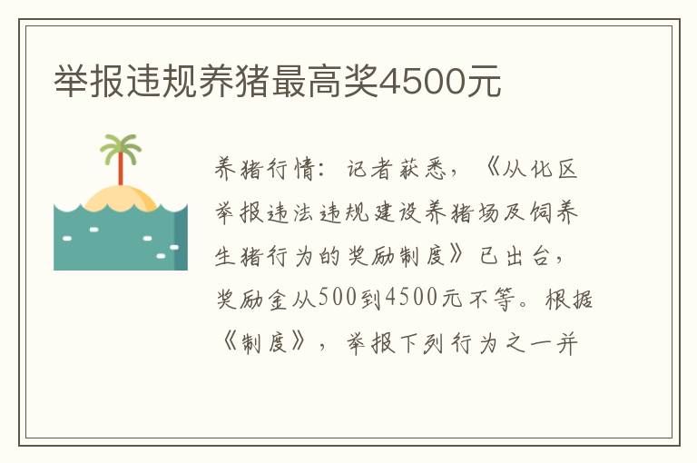 举报违规养猪最高奖4500元