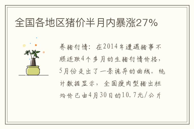 全国各地区猪价半月内暴涨27%