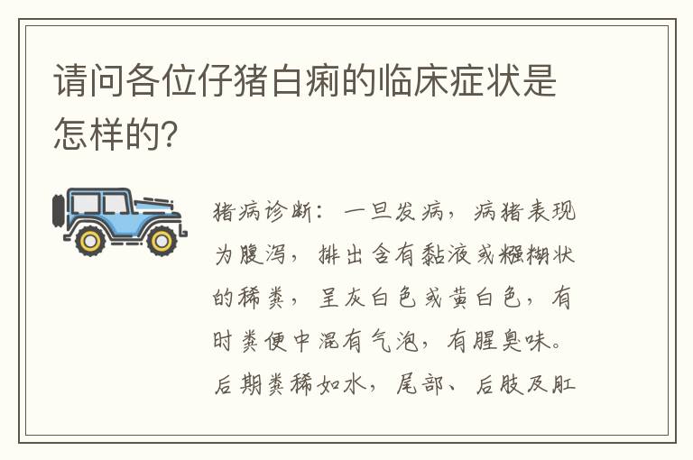 请问各位仔猪白痢的临床症状是怎样的？