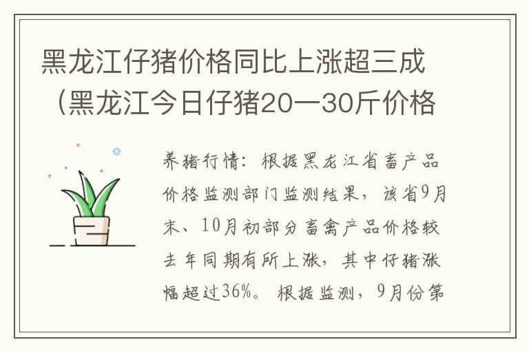 黑龙江仔猪价格同比上涨超三成（黑龙江今日仔猪20一30斤价格查询）