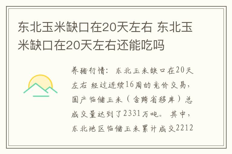 东北玉米缺口在20天左右 东北玉米缺口在20天左右还能吃吗