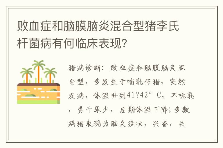 败血症和脑膜脑炎混合型猪李氏杆菌病有何临床表现？