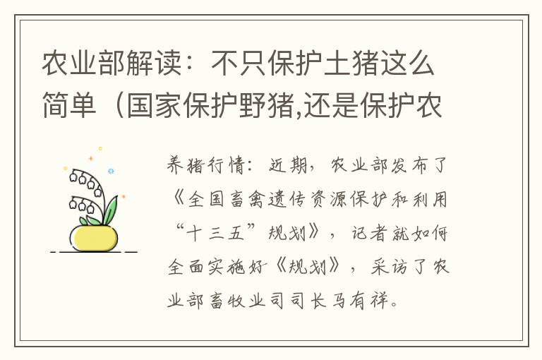 农业部解读：不只保护土猪这么简单（国家保护野猪,还是保护农民种粮）