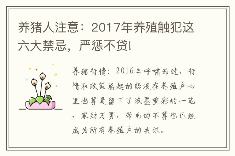 养猪人注意：2017年养殖触犯这六大禁忌，严惩不贷!