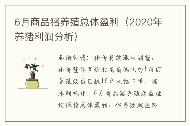 6月商品猪养殖总体盈利（2020年养猪利润分析）