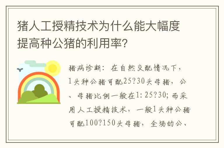 猪人工授精技术为什么能大幅度提高种公猪的利用率？