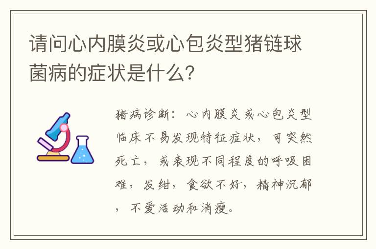 请问心内膜炎或心包炎型猪链球菌病的症状是什么？