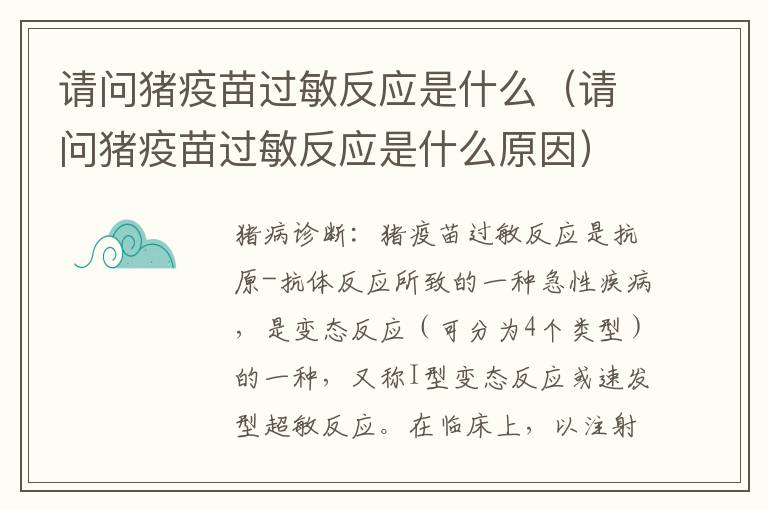 请问猪疫苗过敏反应是什么（请问猪疫苗过敏反应是什么原因）