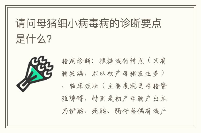 请问母猪细小病毒病的诊断要点是什么？