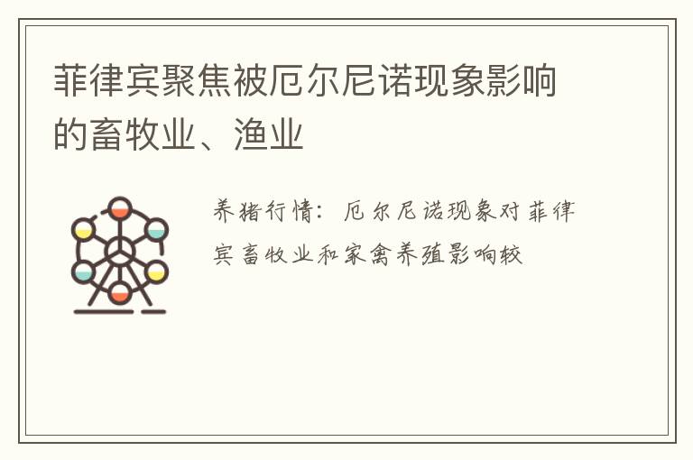 菲律宾聚焦被厄尔尼诺现象影响的畜牧业、渔业