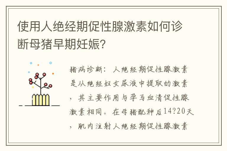 使用人绝经期促性腺激素如何诊断母猪早期妊娠？