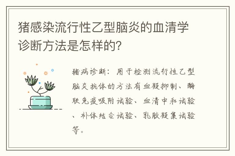 猪感染流行性乙型脑炎的血清学诊断方法是怎样的？