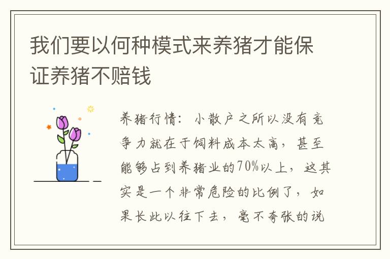 我们要以何种模式来养猪才能保证养猪不赔钱