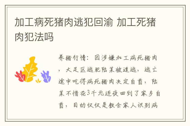 加工病死猪肉逃犯回渝 加工死猪肉犯法吗