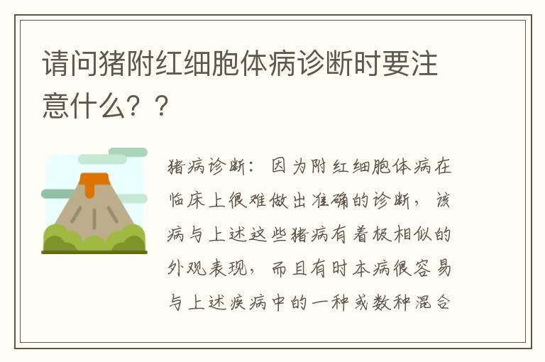 请问猪附红细胞体病诊断时要注意什么？？