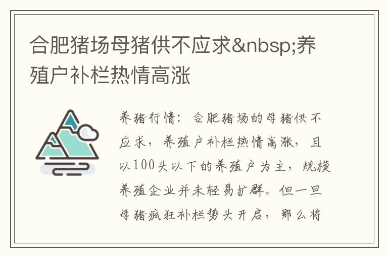 合肥猪场母猪供不应求 养殖户补栏热情高涨