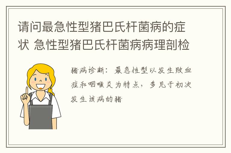 请问最急性型猪巴氏杆菌病的症状 急性型猪巴氏杆菌病病理剖检的重要特征为