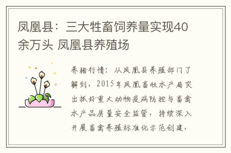 凤凰县：三大牲畜饲养量实现40余万头 凤凰县养殖场