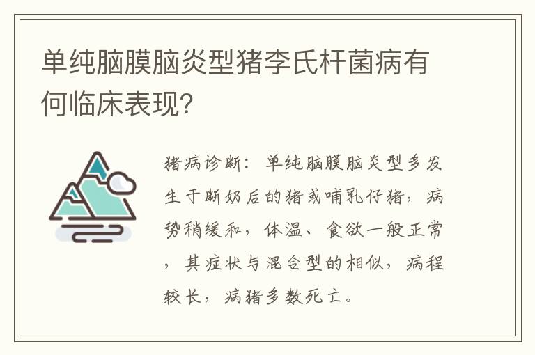 单纯脑膜脑炎型猪李氏杆菌病有何临床表现？