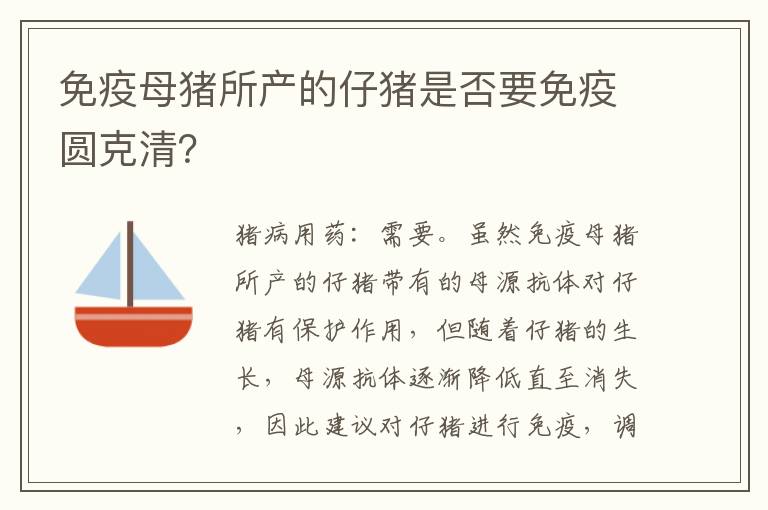 免疫母猪所产的仔猪是否要免疫圆克清？